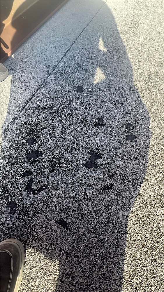 Close-up of hail-damaged asphalt shingles with dark spots of granule loss